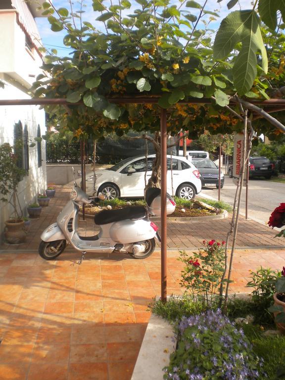 Apartments Miani Novigrad Istria Exterior foto