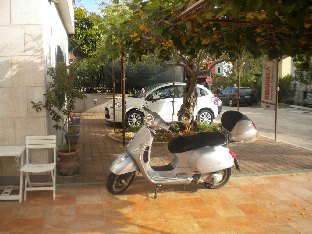 Apartments Miani Novigrad Istria Exterior foto