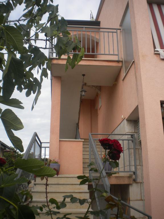 Apartments Miani Novigrad Istria Exterior foto