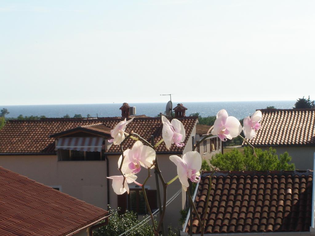 Apartments Miani Novigrad Istria Exterior foto