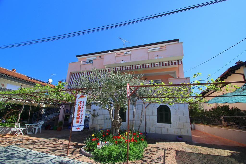 Apartments Miani Novigrad Istria Exterior foto